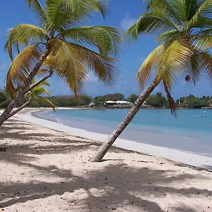 Little Paradise Sainte-Anne